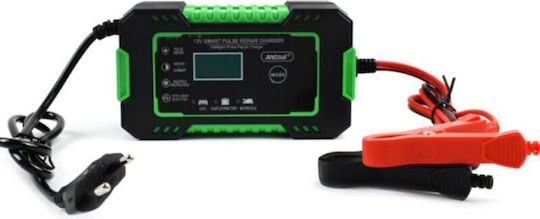 Andowl Car Battery Charger 12V