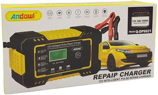 Andowl Car Battery Charger 12V