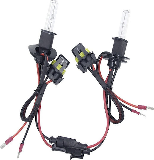 Lamps Car H3 Xenon 8000K Cold White 9-16V 55W 2pcs