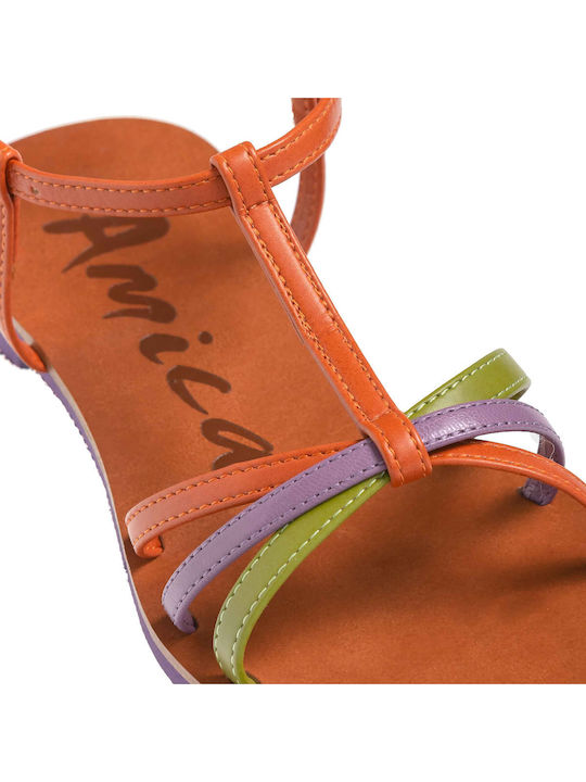 Amica Amica