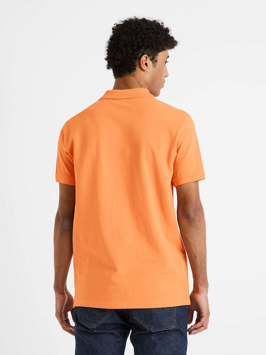 Celio