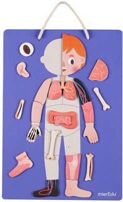 Mieredu Magnetic Construction Toy Body Emotions for Children 4+ years old+ Years