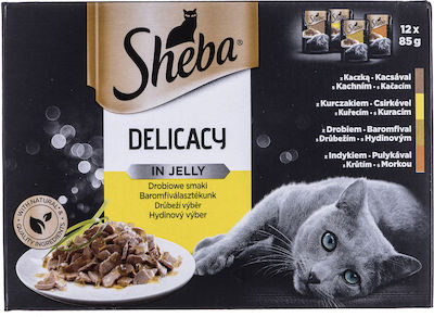 Sheba Delicacy in Jelly Wet Food for Adult Cats In Pouch with Chicken In Jelly Chicken Flavors 12pcs 85gr