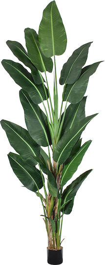 Artificial Decorative Branch Musa Green 300cm GloboStar