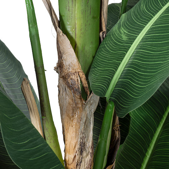 Artificial Decorative Branch Musa Green 300cm GloboStar