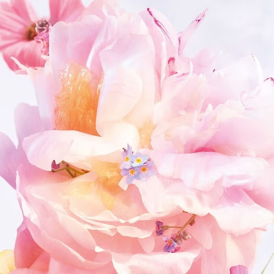 Dior Blooming Bouquet Eau de Toilette 50ml
