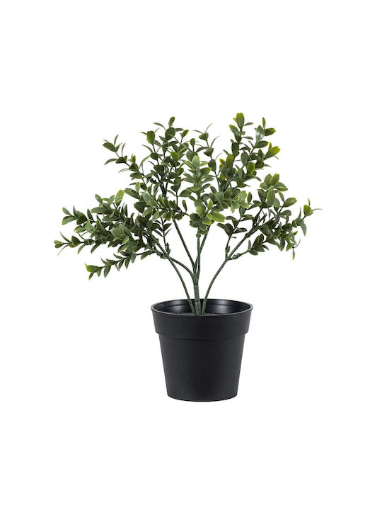 GloboStar Künstliche Pflanze im Topf Artificial Garden BUXUS Grün 30cm 1Stück