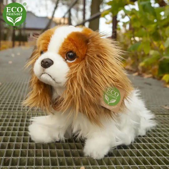 Λούτρινο Σκυλάκι King Charles Spaniel 25 εκ.