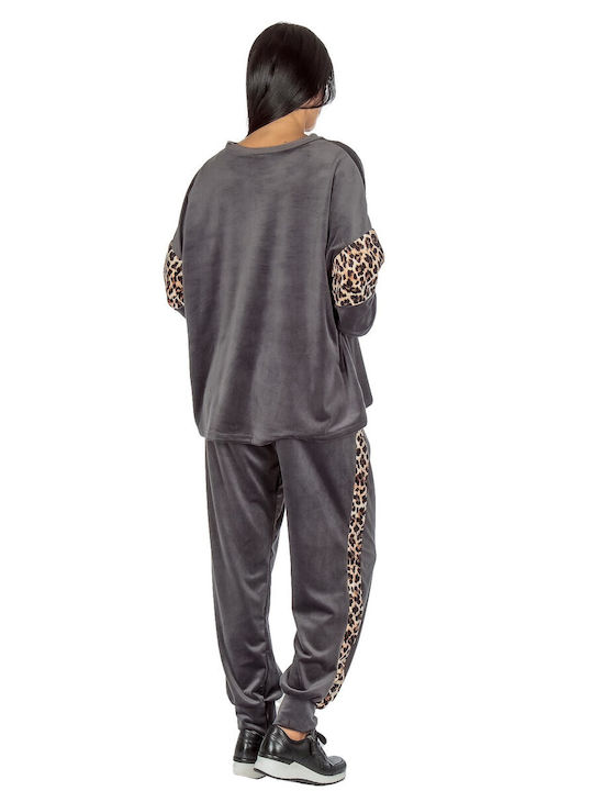 Jogginganzug Samt Gray