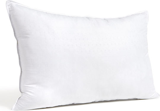 Cannon Scotch Polyester