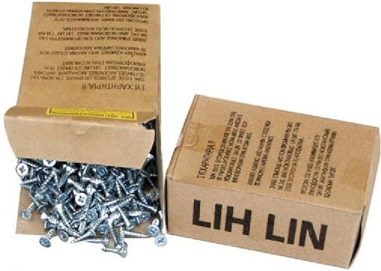 GTC MDF Screw Phillips Galvanized with Diameter M6 and Length 100mm 200pcs 11.8kg