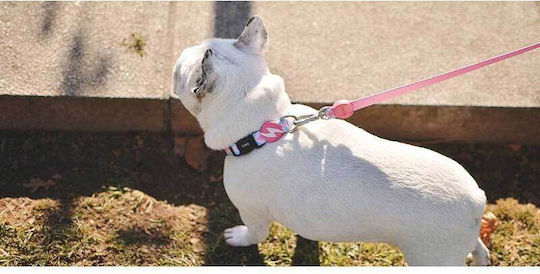 Dashi Dog Leash/Lead Strap Coral 1.2m x 1.5cm
