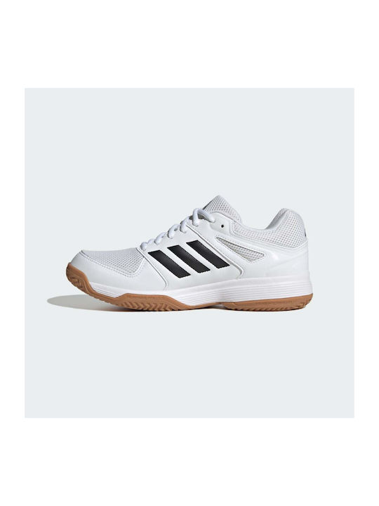 Speedcourt Damen Sportschuhe Volleyball Cloud White / Core Black / Gum