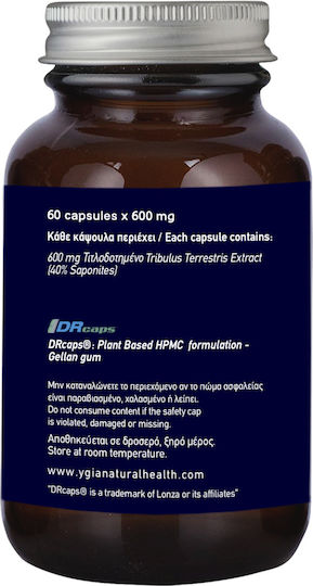 Ygia Tribulus Terrestris 600mg Supplement For Libido And Testosterone Enhancement 60 Vegetable Capsules