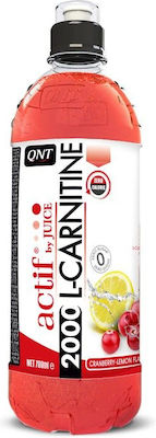 QNT Actif L- Carnitine Συμπλήρωμα Διατροφής με Καρνιτίνη 2000mg και Γεύση Cranberry Lemon 700ml