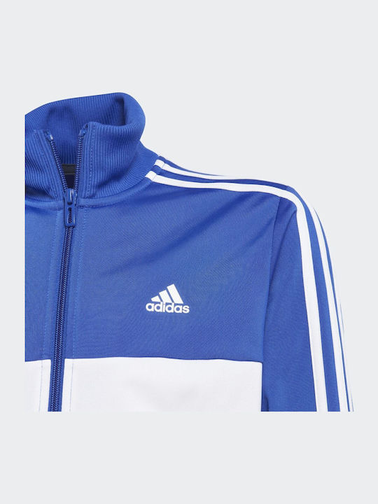 Kids Sweatpants Set Blue 2pcs 3S TIBERIO