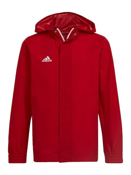 adidas adidas