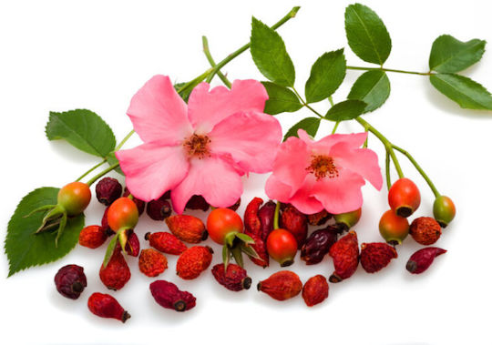 Bioearth Rosa Mosqueta Αντιγηραντική Κρέμα Προσώπου Νυκτός με Υαλουρονικό Οξύ & Aloe Vera 50ml