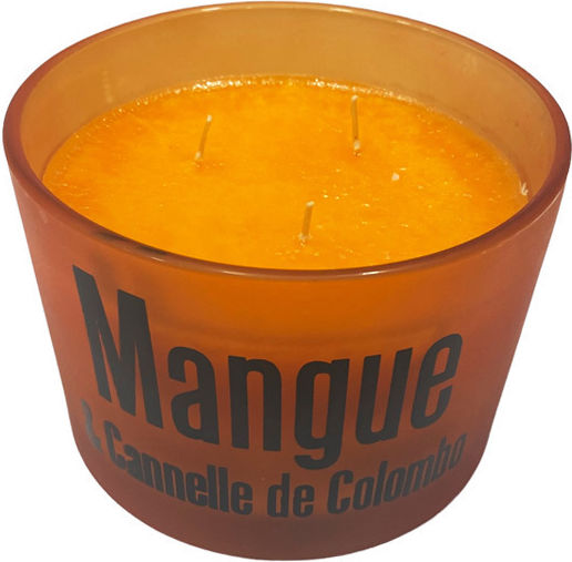 Gala Αρωματικό σε Βάζο Mango & Κανέλα