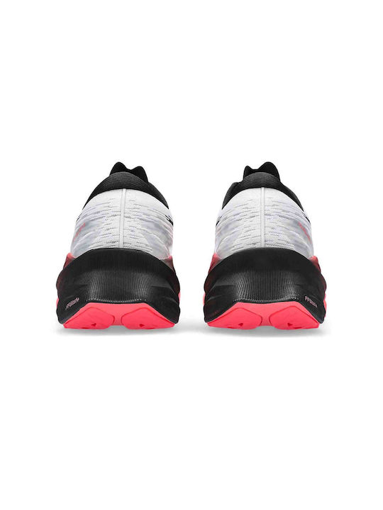 Novablast 3 Sport Shoes Running White