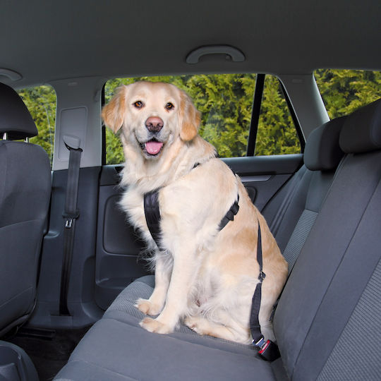 Trixie Seatbelt Car for Dog Large 70-90cm/25mm Black
