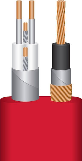 Wireworld USB 2.0 Cablu USB-A - USB-B Roșu 1m 41096