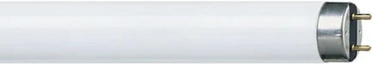 Philips Fluorescent Lamp with Shape T8 58W