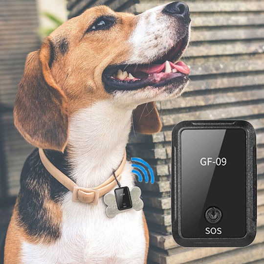 SPV GPS Tracker WiFi for Cars with Alarm