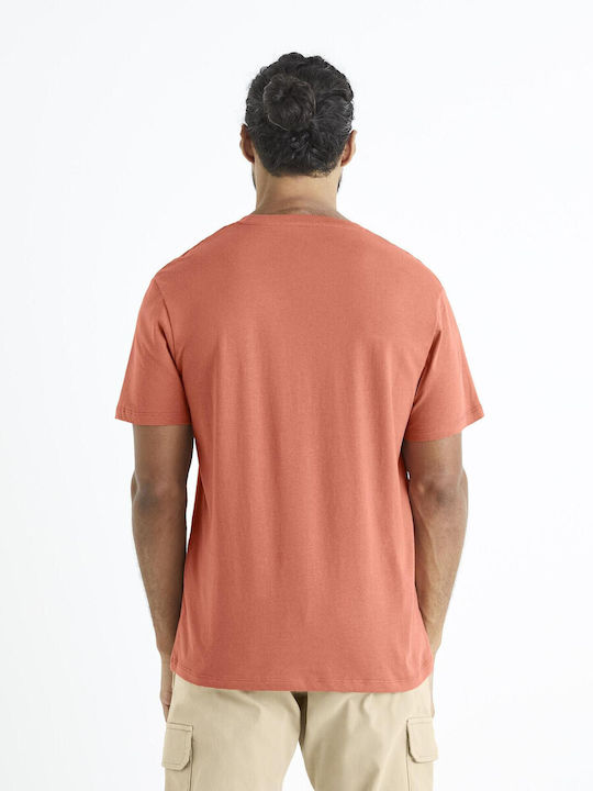 CELIO - Tee Shirt Mc Bework Bework Rosenholz 01