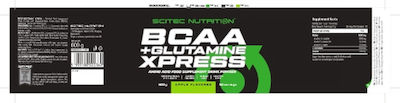 Scitec Nutrition BCAA + Glutamine Xpress 2:1:1 600gr Lime