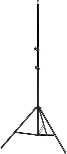 vidaXL Lighting Kit for Photographic Studio Softbox Background Lighting Kit for Studio