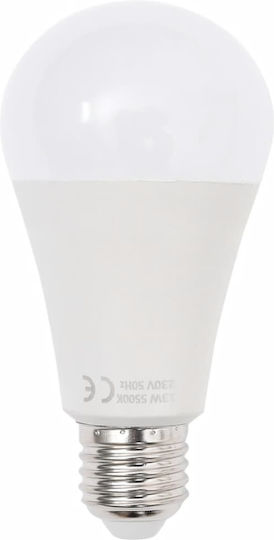 vidaXL Studio-Fotografie-Kit Set Lichter & Hintergrund Beleuchtungsset für Studio