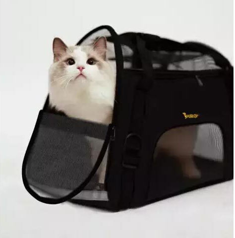 Purlov Purlov Dog/Cat Carrying Black Handbag L50xW25xH30cm