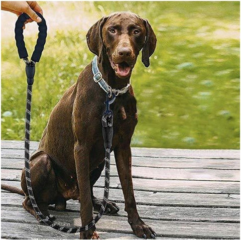Purlov Dog Leash/Lead Strap Purlov in Black color 5m x 1.2cm