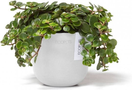 Ecopots Oslo Mini 11