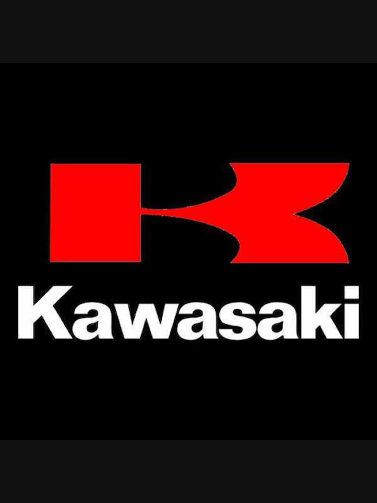 Takeposition Z-cool Kawasaki Hooded Jacket Black