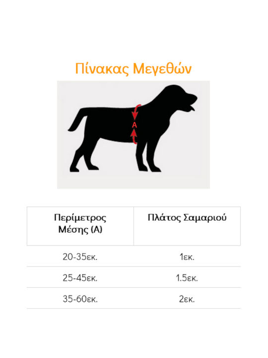 Glee Κόκκινο Medium / Small
