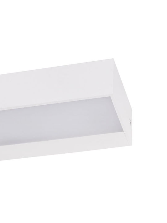 Forlight Стенен Външен Плафон IP65