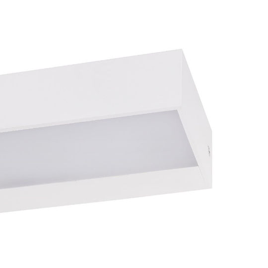 Forlight Wall-Mounted Outdoor Ceiling Light IP65