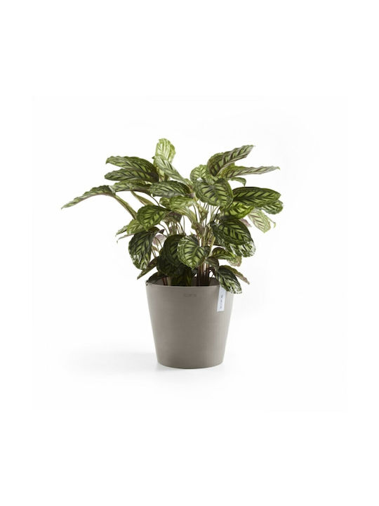 Ecopots Amsterdam Саксия Пластмаса Taupe 30x30x26.3см.