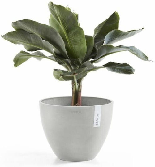 Ecopots Antwerp Ecopots Antwerp