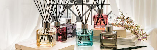 Maison Berger Paris Nachfüllflüssigkeit für Diffuser mit Duft Eukalyptus 6767