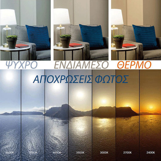 Adeleq LED Bulb 7W 90mm for Socket E27 and Shape G45 Natural White 610lm