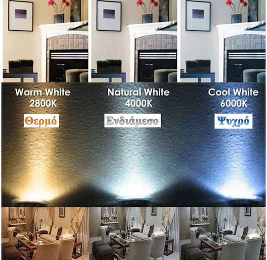 Eurolamp Λάμπα LED 4W 125mm για Ντουί E27 και Σχήμα G125 Θερμό Λευκό 55lm Dimmable