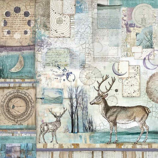 Stamperia Листа Scrapbooking Двулицево 190гр/кв.м 10 листове 10бр
