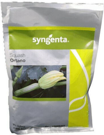Syngenta Samen Kürbisς Zucchini Ortano