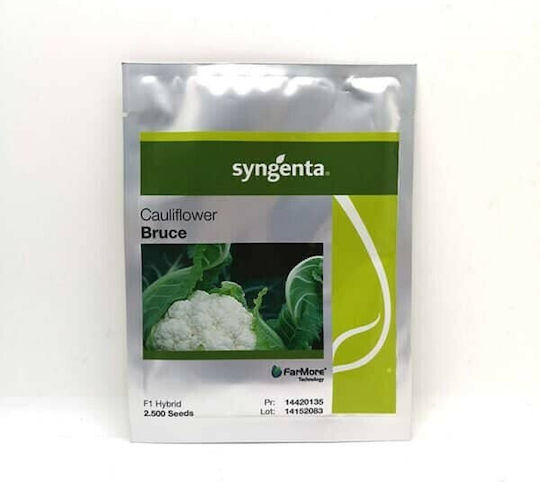 Syngenta Σπόροι Κουνουπιδιού Bruce