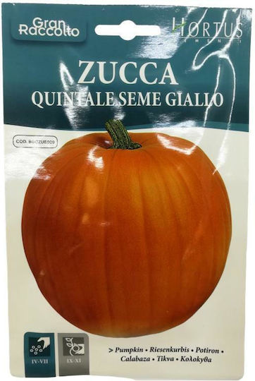 Hortus Sementi Σπόροι Κολοκύθας Γλυκιά Πορτοκαλί