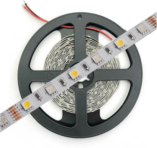 Avide Ταινία LED 12V Φυσικό Λευκό Φως 30m Τύπου SMD2835