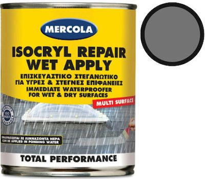 Mercola Isocryl Repair Wet Apply Elastomer Acrilyc Insulating Sealing Polyurethane 0.75lt Gray